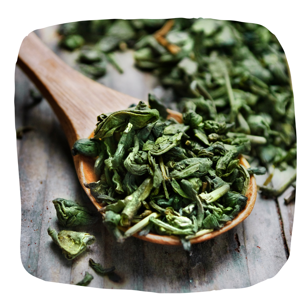 antioxydant naturel thé vert